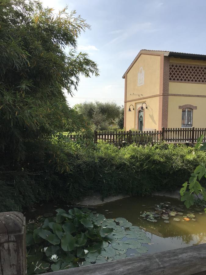 Agriturismo Corte Salandini Ponti sul Mincio Bagian luar foto