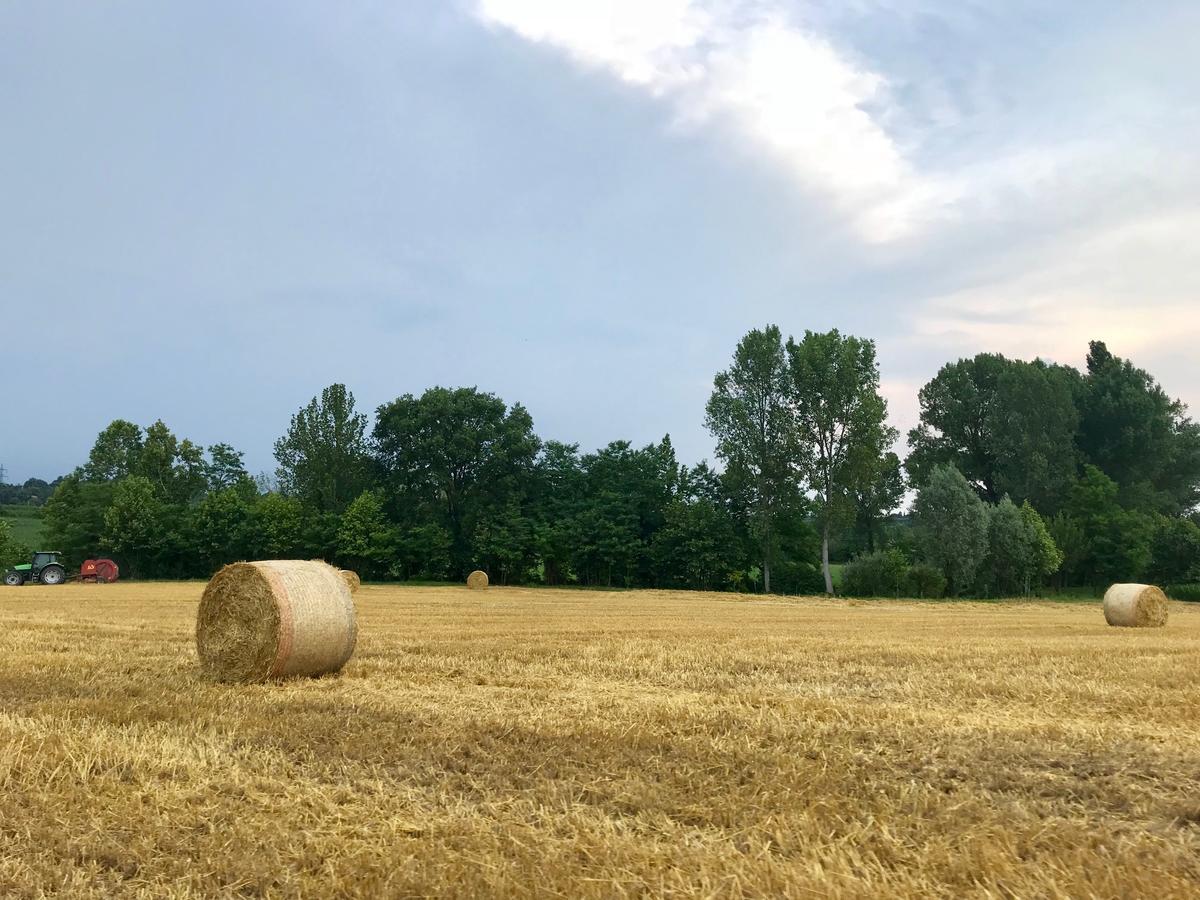 Agriturismo Corte Salandini Ponti sul Mincio Bagian luar foto